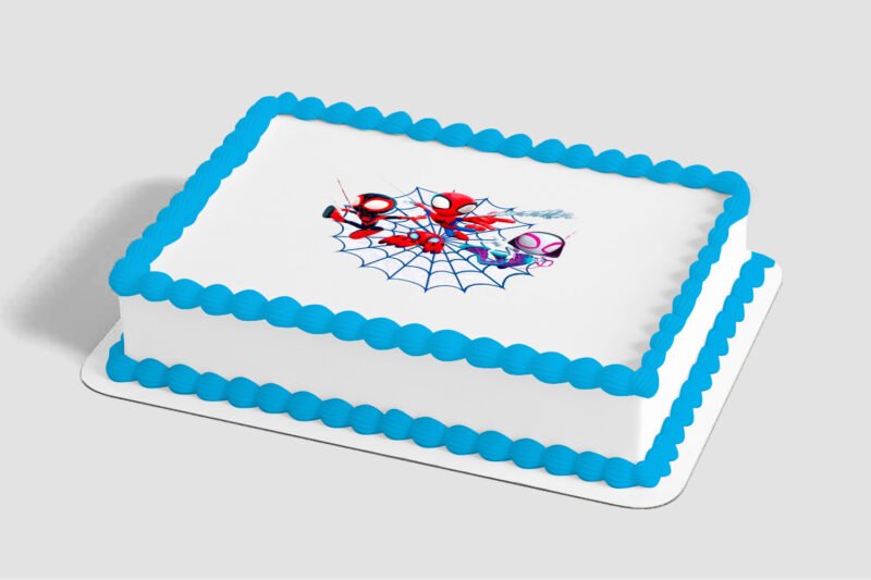 MARVEL Spidey and His Amazing Friends Spidey Web Edible Image® by PhotoCake®