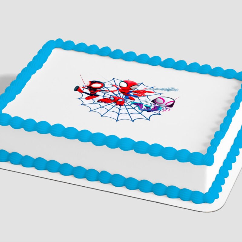 MARVEL Spidey and His Amazing Friends Spidey Web Edible Image® by PhotoCake®