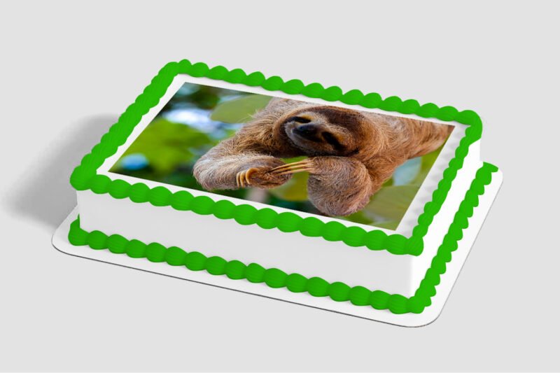 Sloth Edible Image® by PhotoCake®
