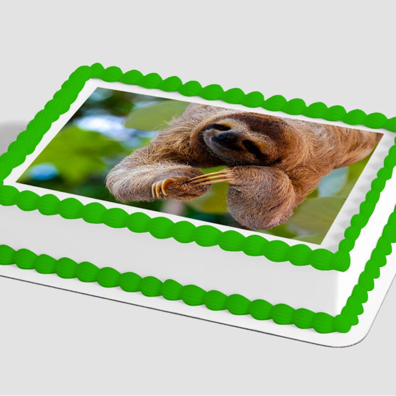 Sloth Edible Image® by PhotoCake®